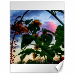 Sunflowers And Wild Weeds Canvas 36  X 48  by okhismakingart