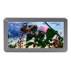 Sunflowers And Wild Weeds Memory Card Reader (mini) by okhismakingart