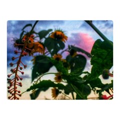 Sunflowers And Wild Weeds Double Sided Flano Blanket (mini)  by okhismakingart