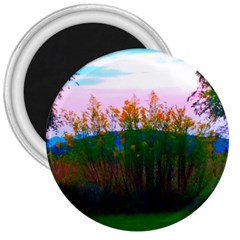 Field Of Goldenrod 3  Magnets by okhismakingart