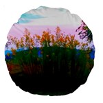 Field of Goldenrod Large 18  Premium Round Cushions Front