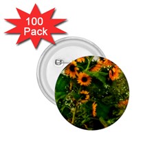 Sunflowers 1 75  Buttons (100 Pack)  by okhismakingart