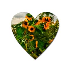 Sunflowers Heart Magnet by okhismakingart