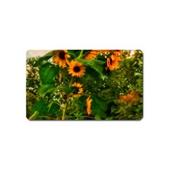 Sunflowers Magnet (name Card) by okhismakingart