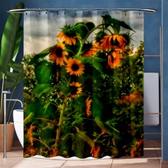 Sunflowers Shower Curtain 60  X 72  (medium)  by okhismakingart