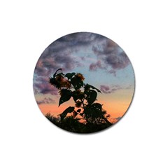 Sunflower Sunset Magnet 3  (round) by okhismakingart