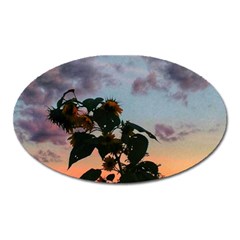 Sunflower Sunset Oval Magnet by okhismakingart