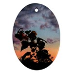 Sunflower Sunset Oval Ornament (Two Sides) Front