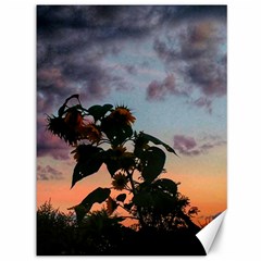 Sunflower Sunset Canvas 36  X 48  by okhismakingart