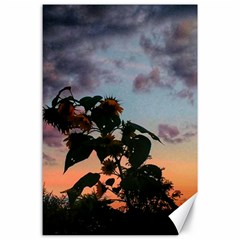 Sunflower Sunset Canvas 24  X 36  by okhismakingart