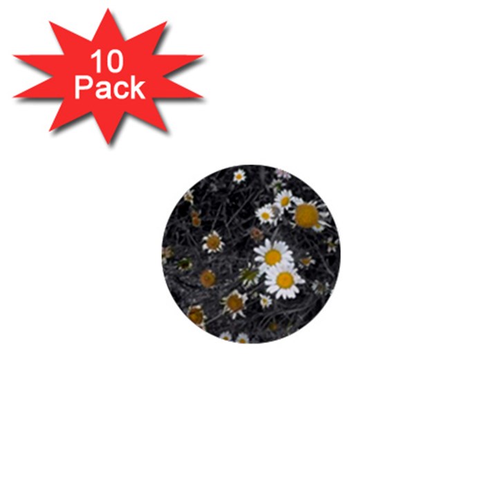 Black And White With Daisies 1  Mini Buttons (10 pack) 