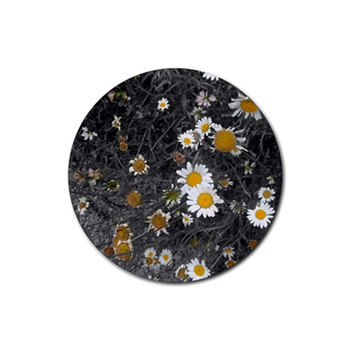 Black And White With Daisies Rubber Coaster (Round) 