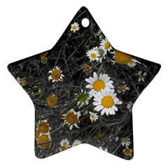 Black And White With Daisies Star Ornament (two Sides) by okhismakingart