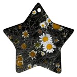 Black And White With Daisies Star Ornament (Two Sides) Front