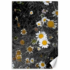 Black And White With Daisies Canvas 12  X 18  by okhismakingart