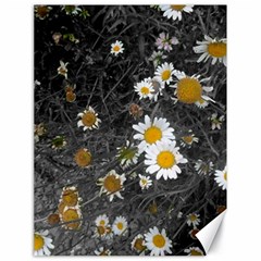 Black And White With Daisies Canvas 18  X 24  by okhismakingart