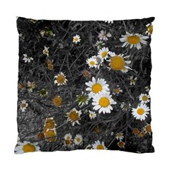 Black And White With Daisies Standard Cushion Case (one Side) by okhismakingart