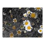 Black And White With Daisies Double Sided Flano Blanket (Mini)  35 x27  Blanket Back