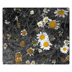 Black And White With Daisies Double Sided Flano Blanket (small)  by okhismakingart