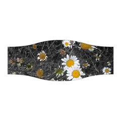 Black And White With Daisies Stretchable Headband by okhismakingart