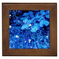 Blue Daisies Framed Tiles by okhismakingart