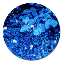 Blue Daisies Magnet 5  (round) by okhismakingart