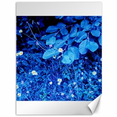 Blue Daisies Canvas 36  X 48  by okhismakingart