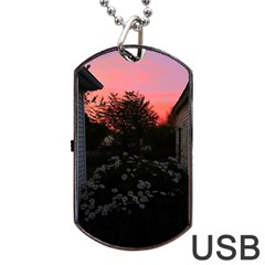 Daisies And Pink Dog Tag Usb Flash (one Side) by okhismakingart