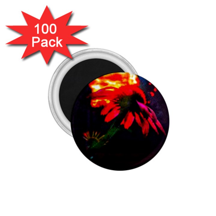 Neon Cone Flower 1.75  Magnets (100 pack) 