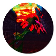 Neon Cone Flower Magnet 5  (round)