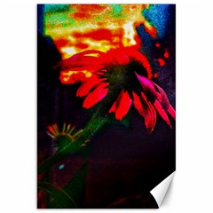 Neon Cone Flower Canvas 20  X 30 