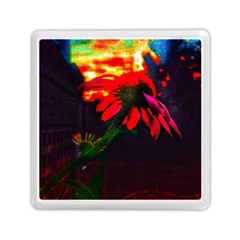 Neon Cone Flower Memory Card Reader (square) by okhismakingart