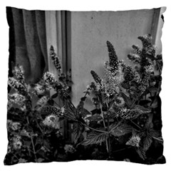 Black And White Mint Standard Flano Cushion Case (two Sides)