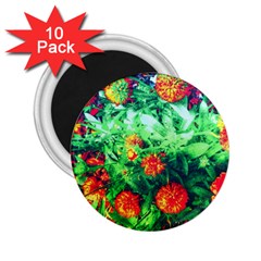 Intense Flowers 2 25  Magnets (10 Pack) 