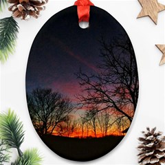 Darkness Falling Ornament (oval) by okhismakingart