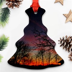 Darkness Falling Christmas Tree Ornament (two Sides) by okhismakingart