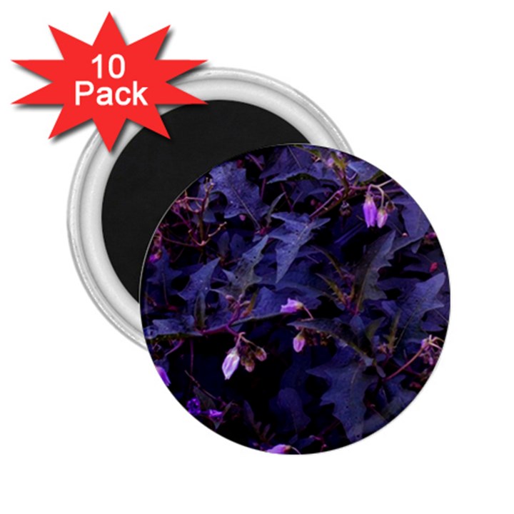 Purple Nettles 2.25  Magnets (10 pack) 