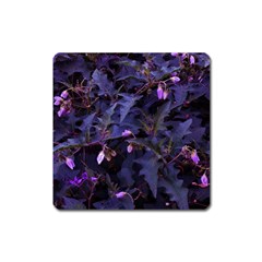 Purple Nettles Square Magnet by okhismakingart