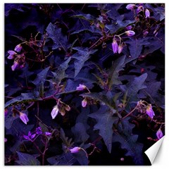 Purple Nettles Canvas 12  X 12  by okhismakingart