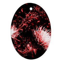 Red Thistle Ornament (oval) by okhismakingart