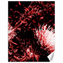 Red Thistle Canvas 12  X 16  by okhismakingart