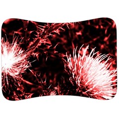 Red Thistle Velour Seat Head Rest Cushion by okhismakingart