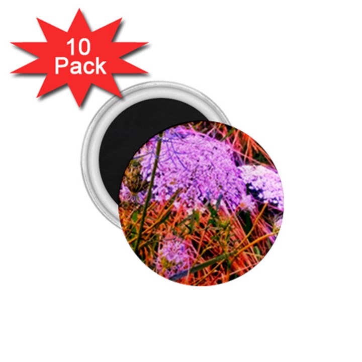 Blue Tinted Queen Anne s Lace 1.75  Magnets (10 pack) 