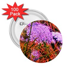 Blue Tinted Queen Anne s Lace 2 25  Buttons (100 Pack)  by okhismakingart