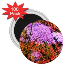 Blue Tinted Queen Anne s Lace 2 25  Magnets (100 Pack)  by okhismakingart