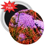 Blue Tinted Queen Anne s Lace 3  Magnets (10 pack)  Front