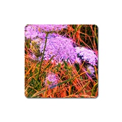 Blue Tinted Queen Anne s Lace Square Magnet by okhismakingart