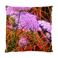 Blue Tinted Queen Anne s Lace Standard Cushion Case (one Side) by okhismakingart