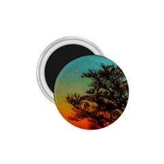 Turquoise Sunset 1 75  Magnets by okhismakingart