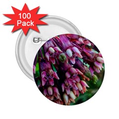 Milkweed 2 25  Buttons (100 Pack)  by okhismakingart